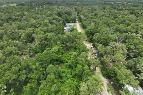 Terreno en venta en Trenton, Florida № 2221217 - foto 9