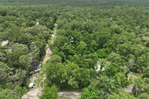 Terreno en venta en Trenton, Florida № 2221217 - foto 5
