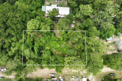 Land in Trenton, Florida № 2221217