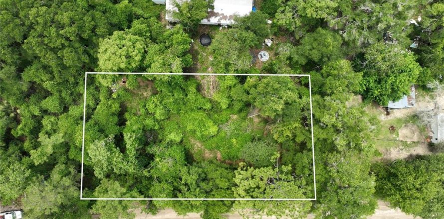 Terreno en Trenton, Florida № 2221217