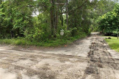 Terreno en venta en Trenton, Florida № 2221217 - foto 13