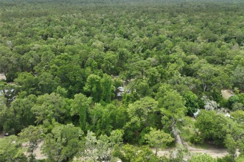Terreno en venta en Trenton, Florida № 2221217 - foto 3