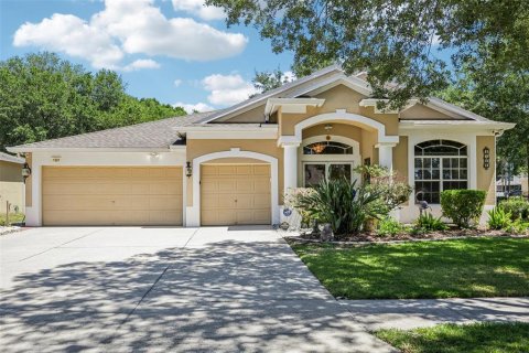 Casa en Valrico, Florida 4 dormitorios, 256.22 m2 № 2129685