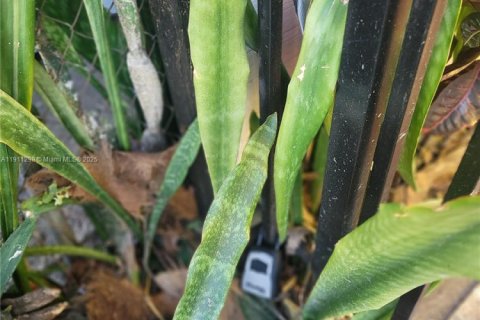 Снять в аренду виллу или дом в Майами, Флорида 1 спальня, 69.68м2, № 1967249 - фото 5