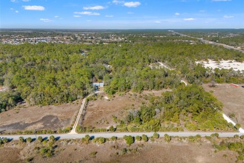 Land in Weeki Wachee, Florida № 2108139 - photo 5