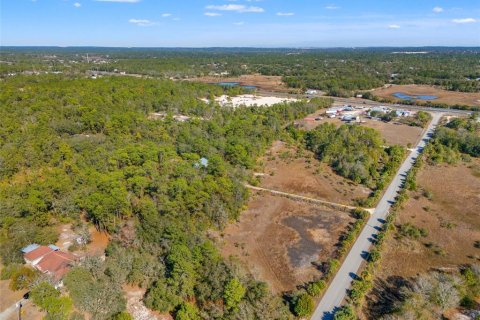 Land in Weeki Wachee, Florida № 2108139 - photo 6