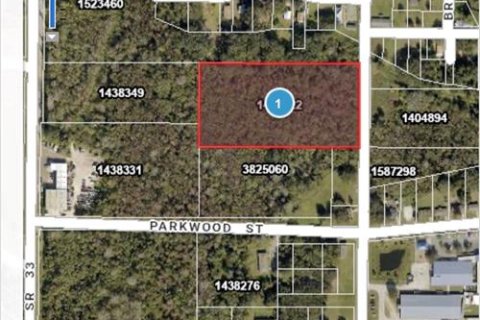 Land in Groveland, Florida № 2097149 - photo 2