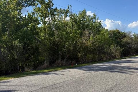 Terrain à Groveland, Floride № 2097149