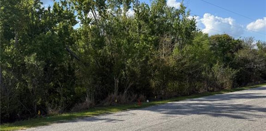 Land in Groveland, Florida № 2097149