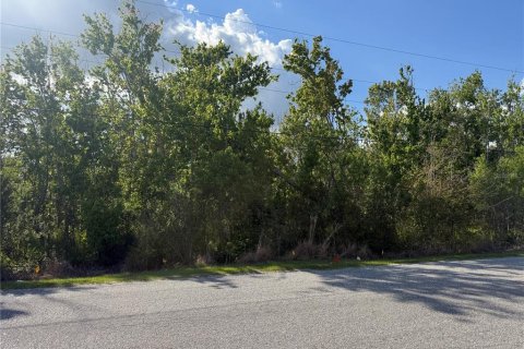 Land in Groveland, Florida № 2097149 - photo 3