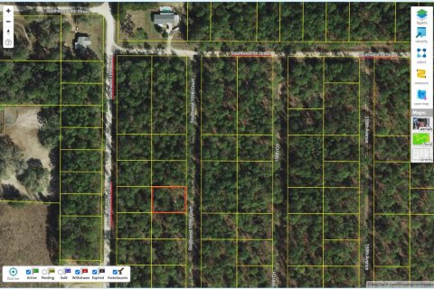 Land in Ocala, Florida № 2197055 - photo 3
