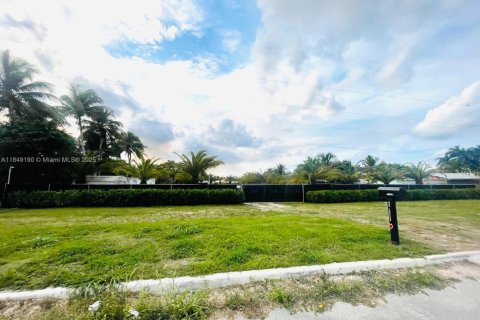 Commercial property in Homestead, Florida № 1850791 - photo 2
