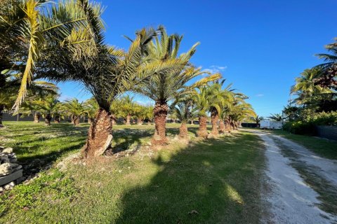 Commercial property in Homestead, Florida № 1850791 - photo 14