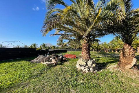 Commercial property in Homestead, Florida № 1850791 - photo 13