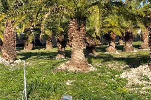 Commercial property in Homestead, Florida № 1850791 - photo 22