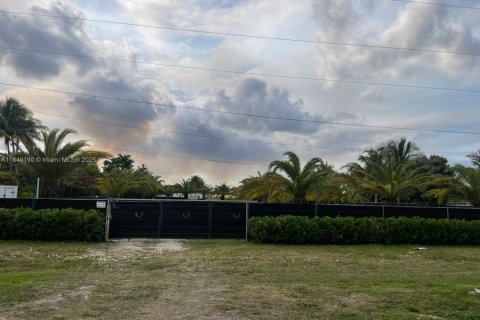 Commercial property in Homestead, Florida № 1850791 - photo 4