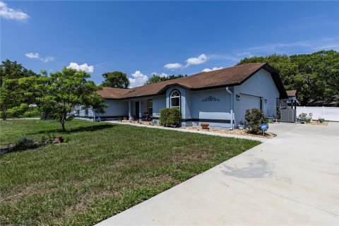 House in Mount Dora, Florida 4 bedrooms, 273.04 sq.m. № 1755388 - photo 1