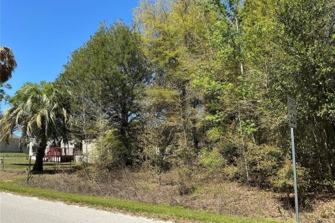 Land in Summerfield, Florida № 1640430 - photo 3