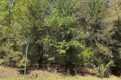 Land in Summerfield, Florida № 1640430 - photo 1