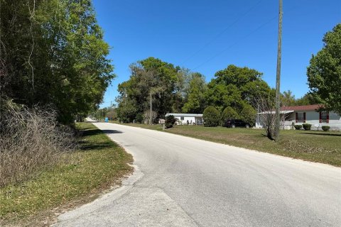 Land in Summerfield, Florida № 1640430 - photo 6