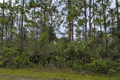 Terrain à vendre à Indian lake estates, Floride № 2160872 - photo 3