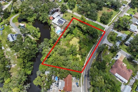 Land in Tampa, Florida № 1853512 - photo 7
