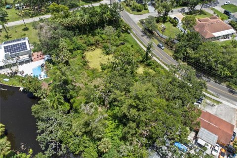 Land in Tampa, Florida № 1853512 - photo 2