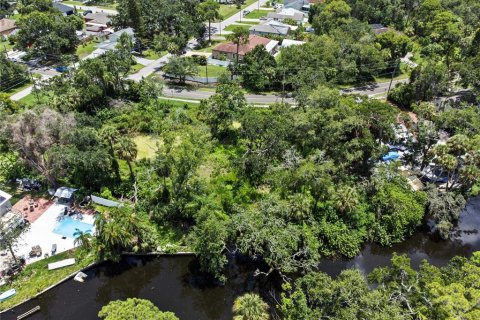 Land in Tampa, Florida № 1853512 - photo 10