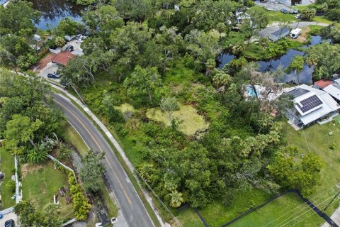 Land in Tampa, Florida № 1853512 - photo 4