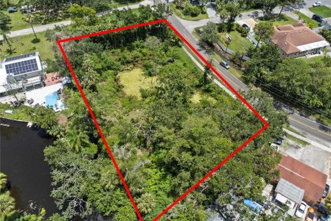 Land in Tampa, Florida № 1853512 - photo 1