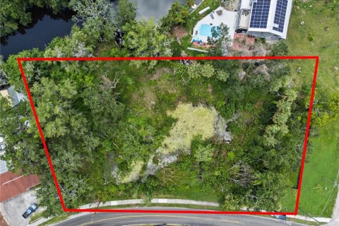 Land in Tampa, Florida № 1853512 - photo 6
