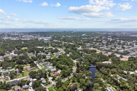 Land in Tampa, Florida № 1853512 - photo 9