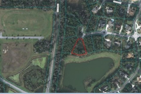 Terrain à vendre à Ocala, Floride № 1217795 - photo 4
