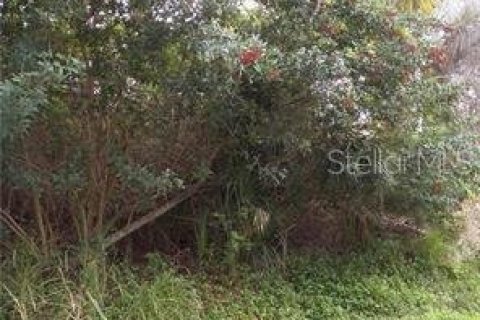 Terreno en venta en Venice, Florida № 232106 - foto 1