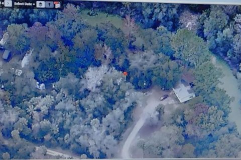 Купить земельный участок в Ситра, Флорида № 2228571 - фото 2