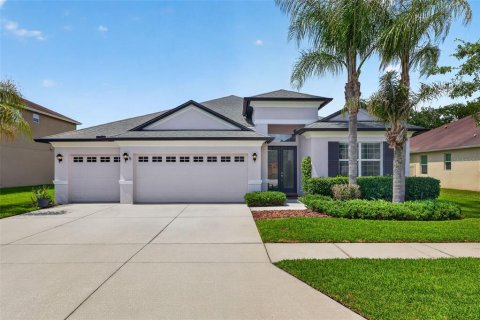 House in Wesley Chapel, Florida 4 bedrooms, 247.58 sq.m. № 2102734