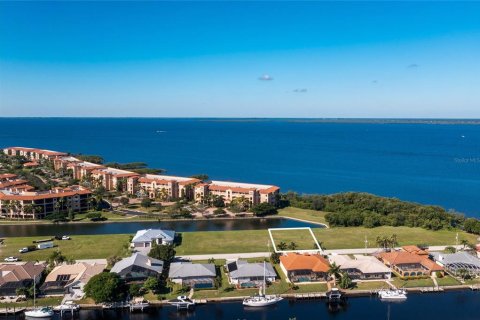 Land in Punta Gorda, Florida № 214614 - photo 3