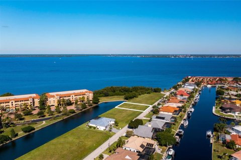Land in Punta Gorda, Florida № 214614 - photo 4