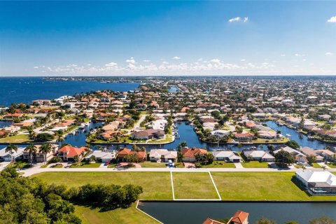Land in Punta Gorda, Florida № 214614 - photo 7