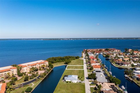 Land in Punta Gorda, Florida № 214614 - photo 2