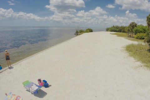 Land in Punta Gorda, Florida № 214614 - photo 11