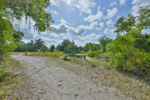 House in Wimauma, Florida 3 bedrooms, 149.76 sq.m. № 2131574 - photo 29
