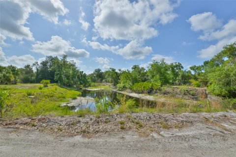 House in Wimauma, Florida 3 bedrooms, 149.76 sq.m. № 2131574 - photo 30