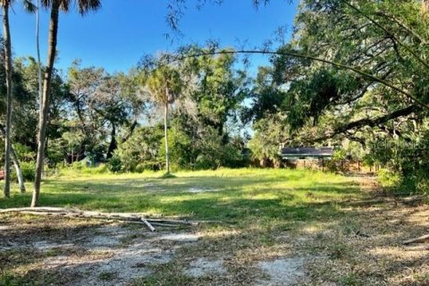 Land in Sarasota, Florida № 1433687 - photo 2