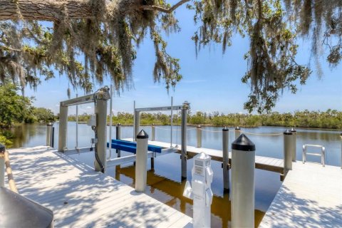 Casa en venta en Parrish, Florida, 4 dormitorios, 366.41 m2 № 1908628 - foto 5