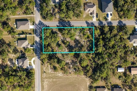 Land in Weeki Wachee, Florida № 2384060