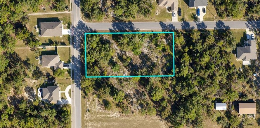 Land in Weeki Wachee, Florida № 2384060