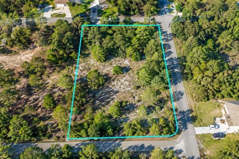 Land in Weeki Wachee, Florida № 2384060 - photo 2