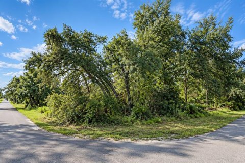 Land in Weeki Wachee, Florida № 2384060 - photo 3