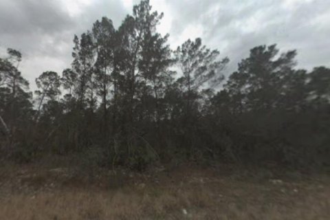 Land in Sebring, Florida № 2165206